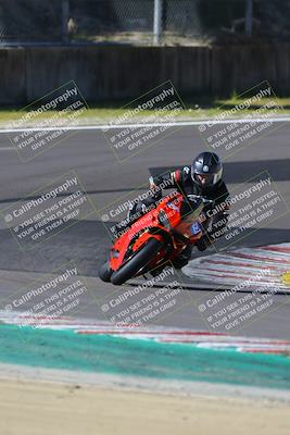 media/Mar-17-2024-Fastrack Riders (Sun) [[c7d6f8c14c]]/Level 2/Turn 6/